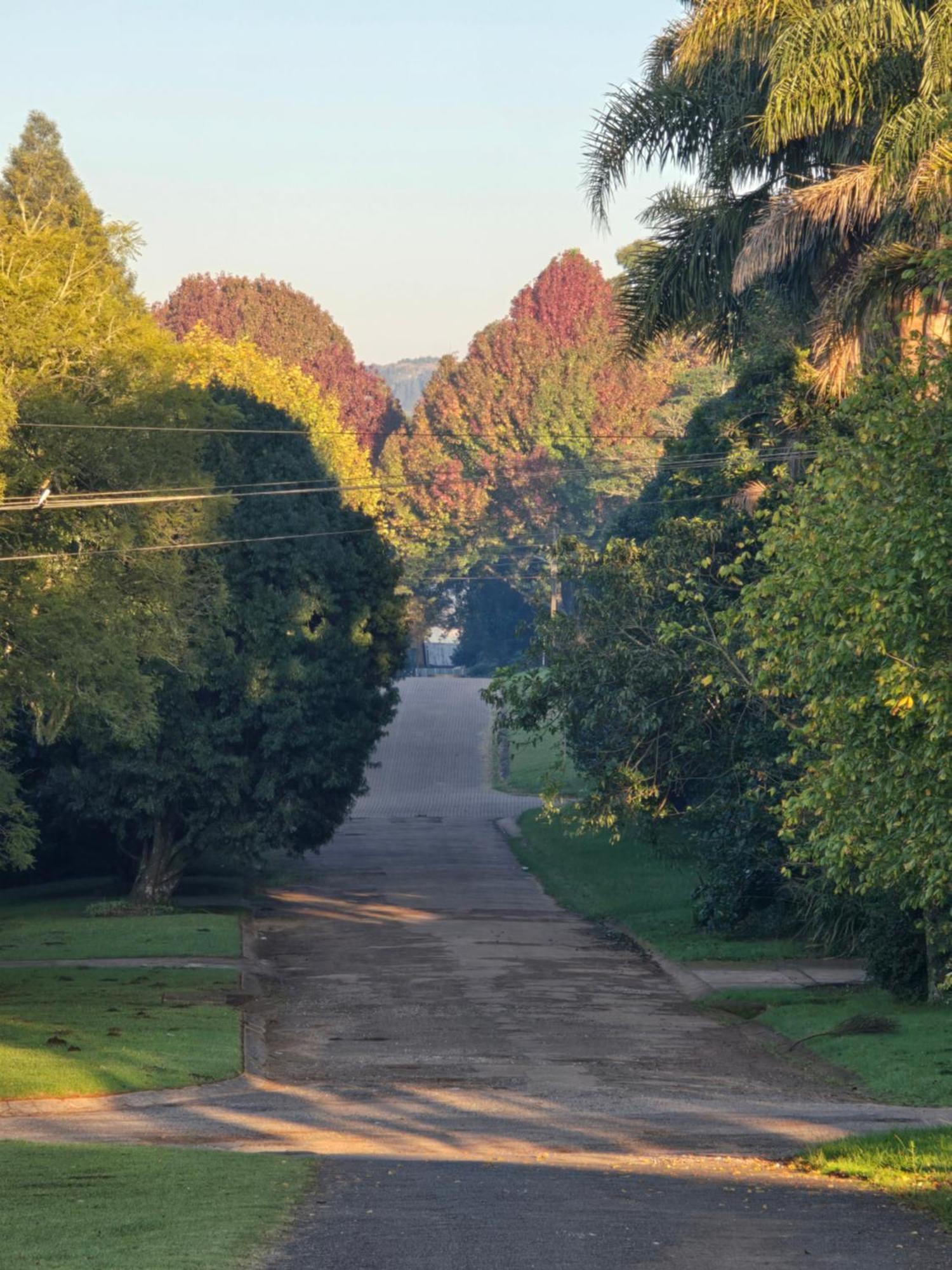 Mosswood Bed & Breakfast Graskop Luaran gambar