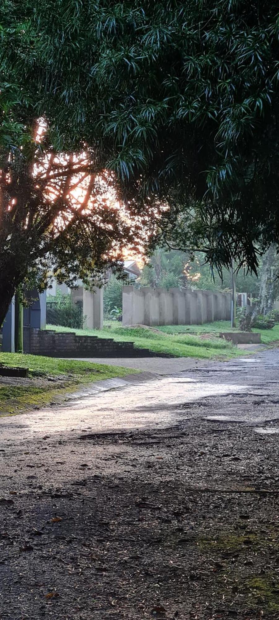 Mosswood Bed & Breakfast Graskop Luaran gambar