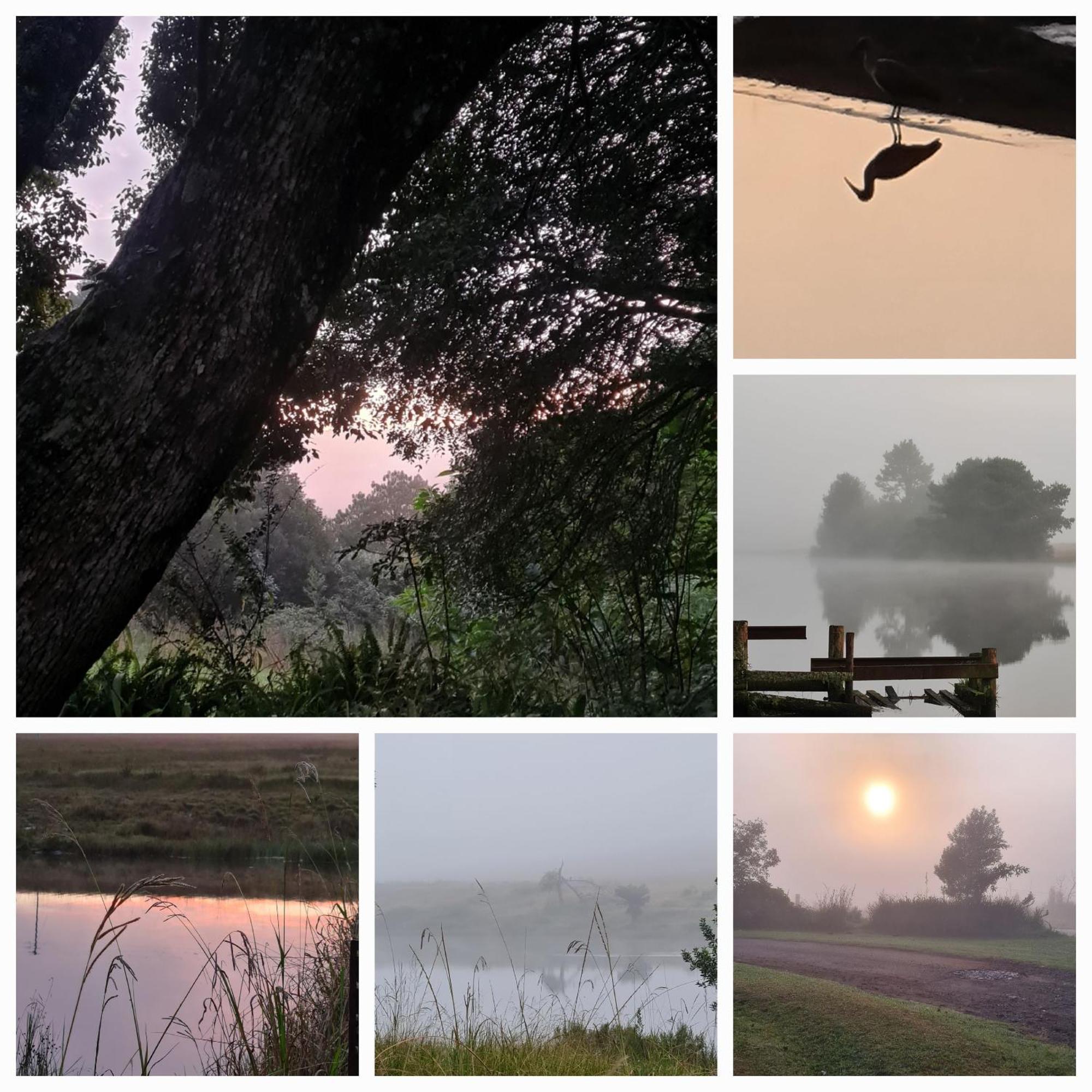 Mosswood Bed & Breakfast Graskop Luaran gambar