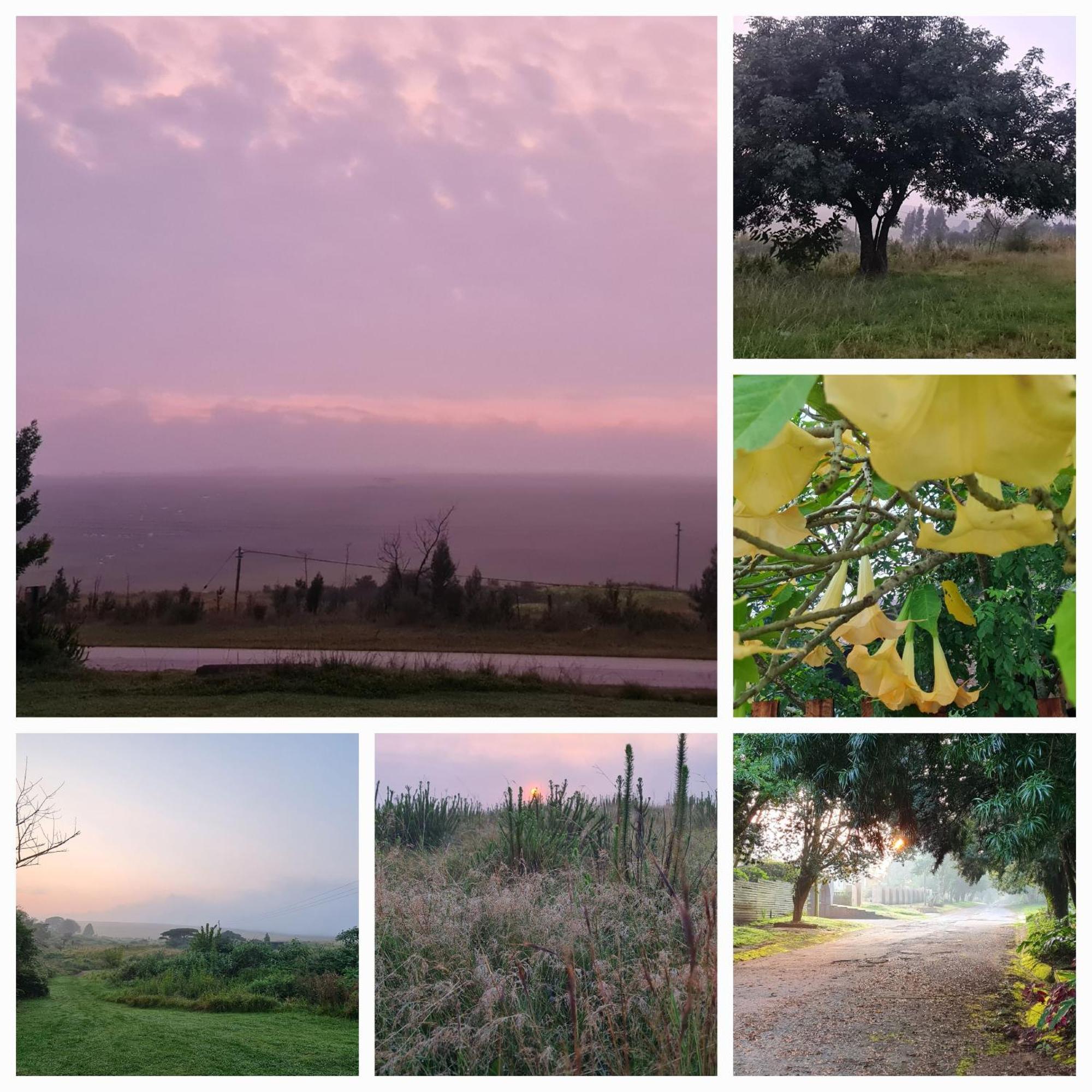 Mosswood Bed & Breakfast Graskop Luaran gambar