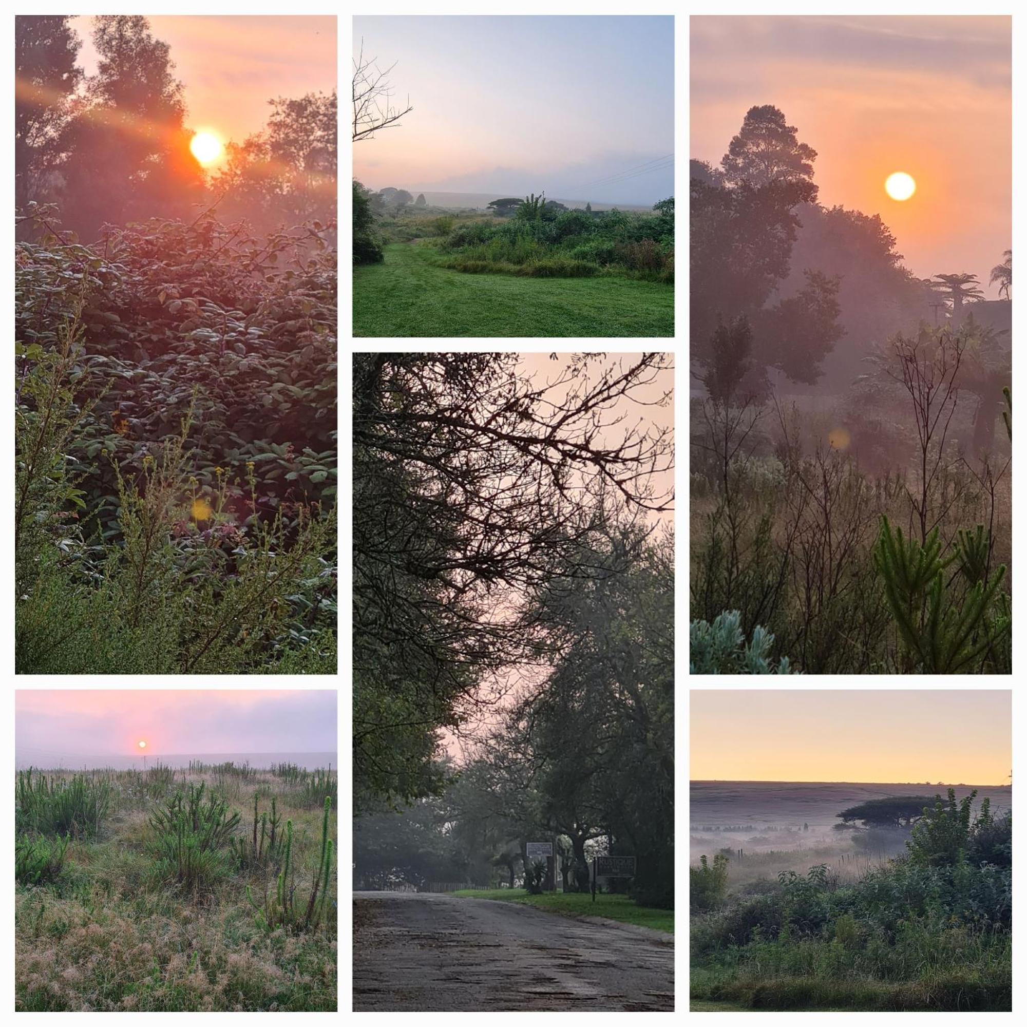 Mosswood Bed & Breakfast Graskop Luaran gambar